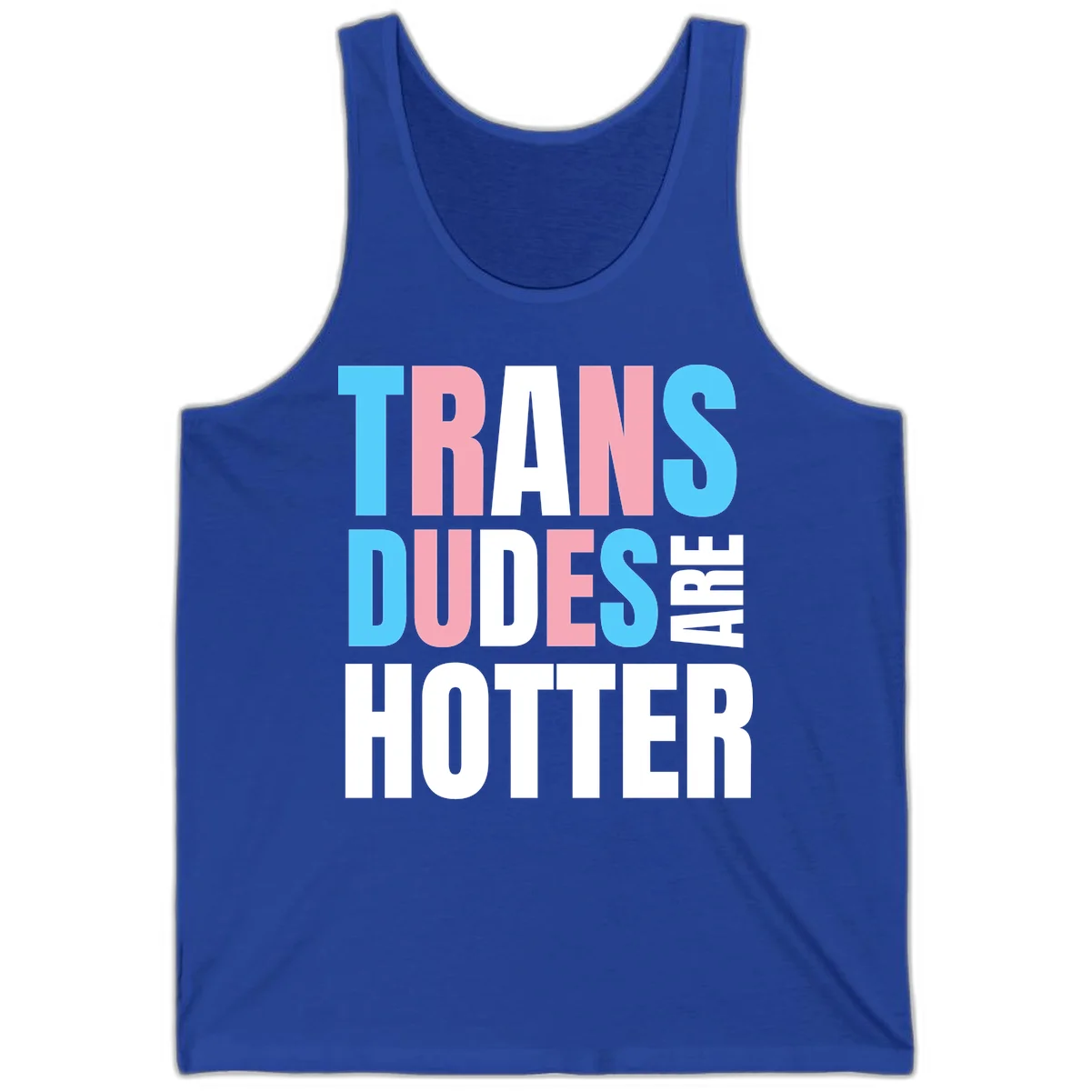 Bold typography design reading 'TRANS DUDES ARE HOTTER' in cyan, pink, and white letters on gray background in True Royal
