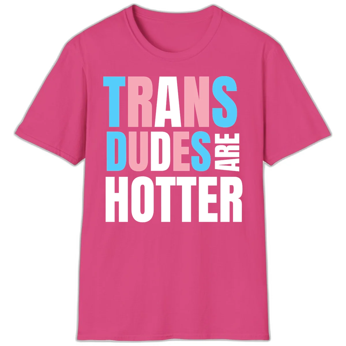 Bold typography design reading 'TRANS DUDES ARE HOTTER' in cyan, pink, and white letters on gray background in Heliconia