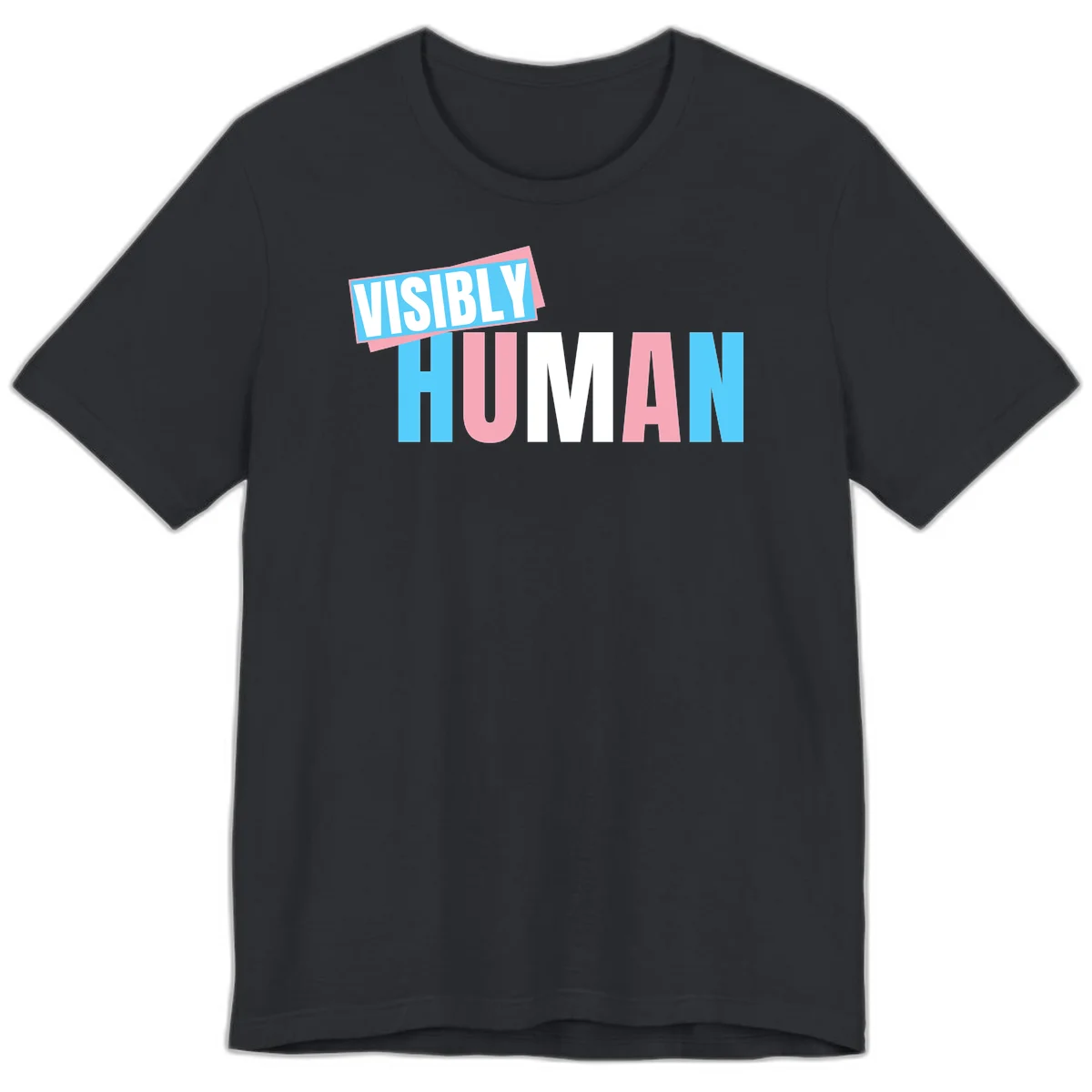 Bold typography design reading 'VISIBLY HUMAN' in cyan, pink, and white letters with diagonal 'VISIBLY' banner overlay on gray background in Vintage Black