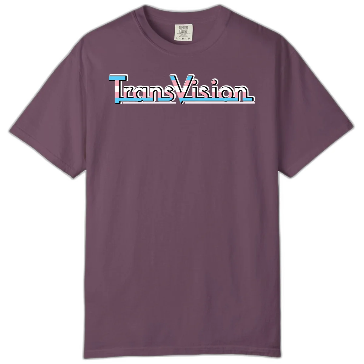 TransVision typography with transgender pride flag colors—cyan, pink, and white integrated into bold modern lettering in Berry