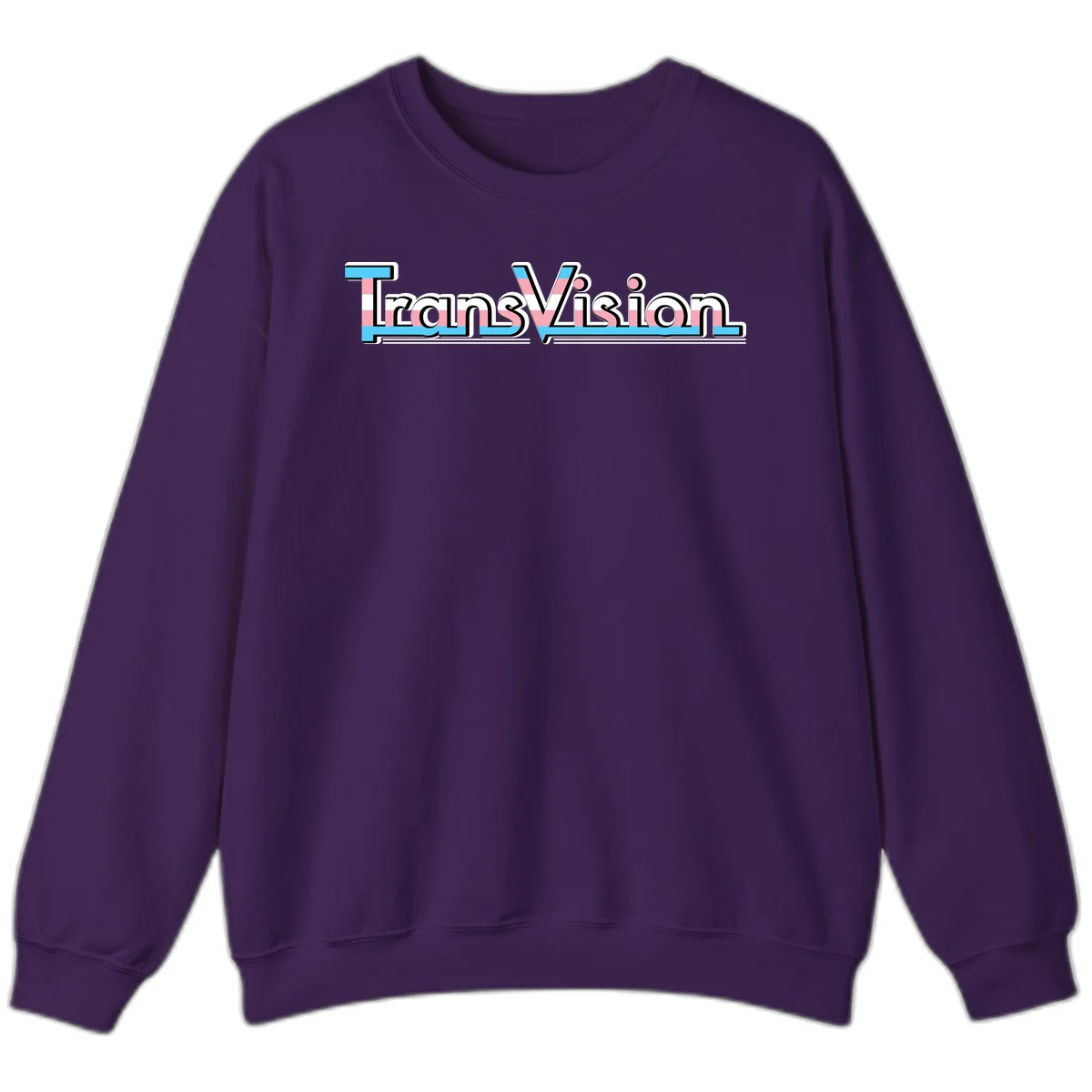 TransVision typography with transgender pride flag colors—cyan, pink, and white integrated into bold modern lettering in Purple