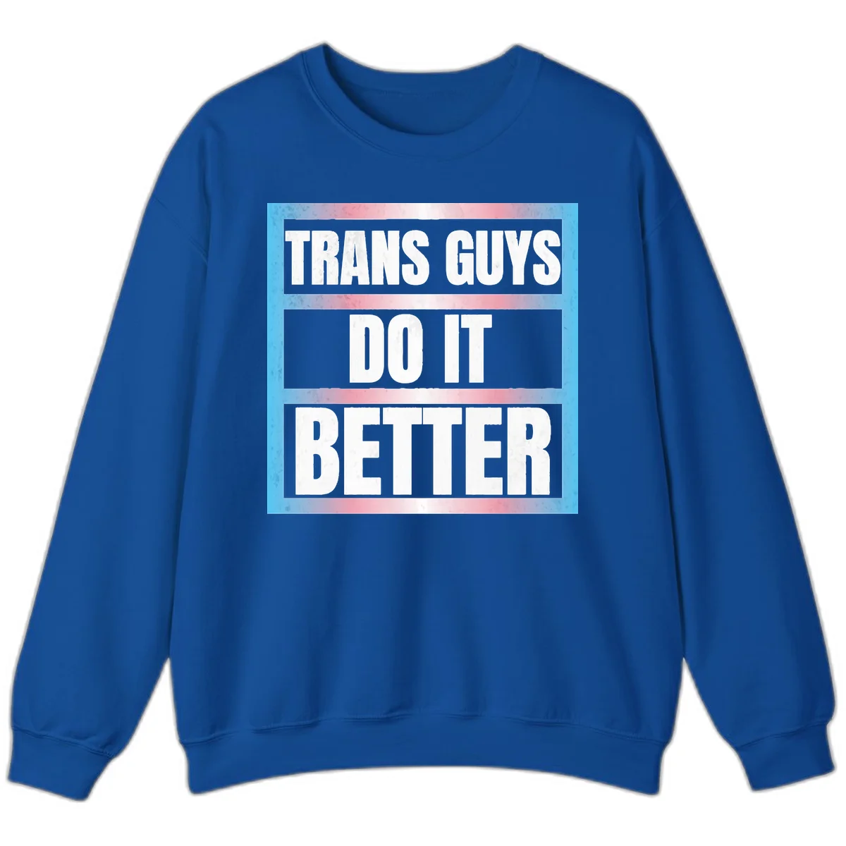 Bold white text reading 'TRANS GUYS DO IT BETTER' on gray bands with transgender flag watercolor background in blue, pink, and white. in Royal