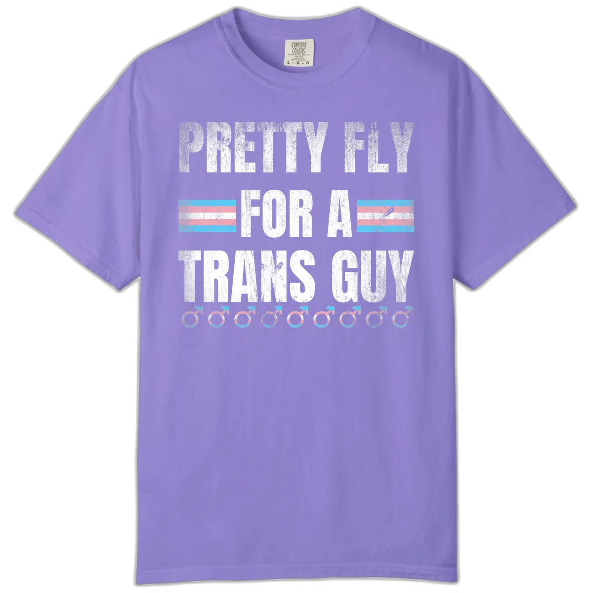 Distressed white text reading 'Pretty Fly For A Trans Guy' with blue and pink transgender pride stripes and male gender symbols in Violet