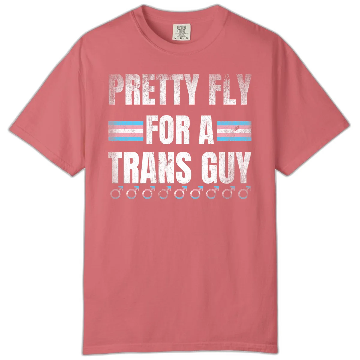 Distressed white text reading 'Pretty Fly For A Trans Guy' with blue and pink transgender pride stripes and male gender symbols in Watermelon