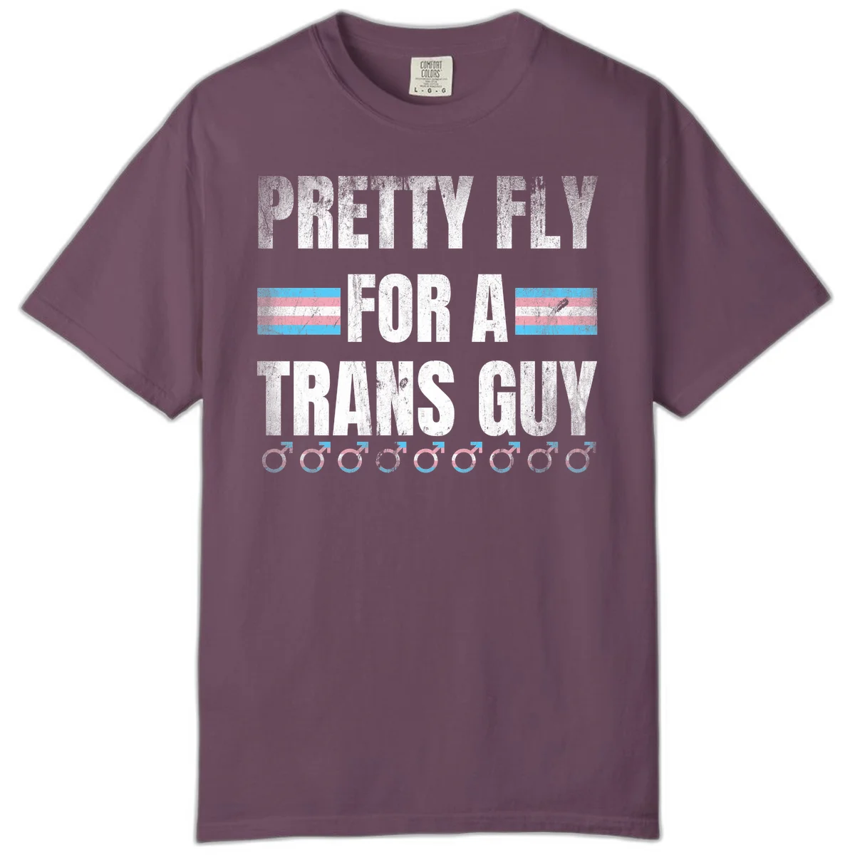 Distressed white text reading 'Pretty Fly For A Trans Guy' with blue and pink transgender pride stripes and male gender symbols in Berry