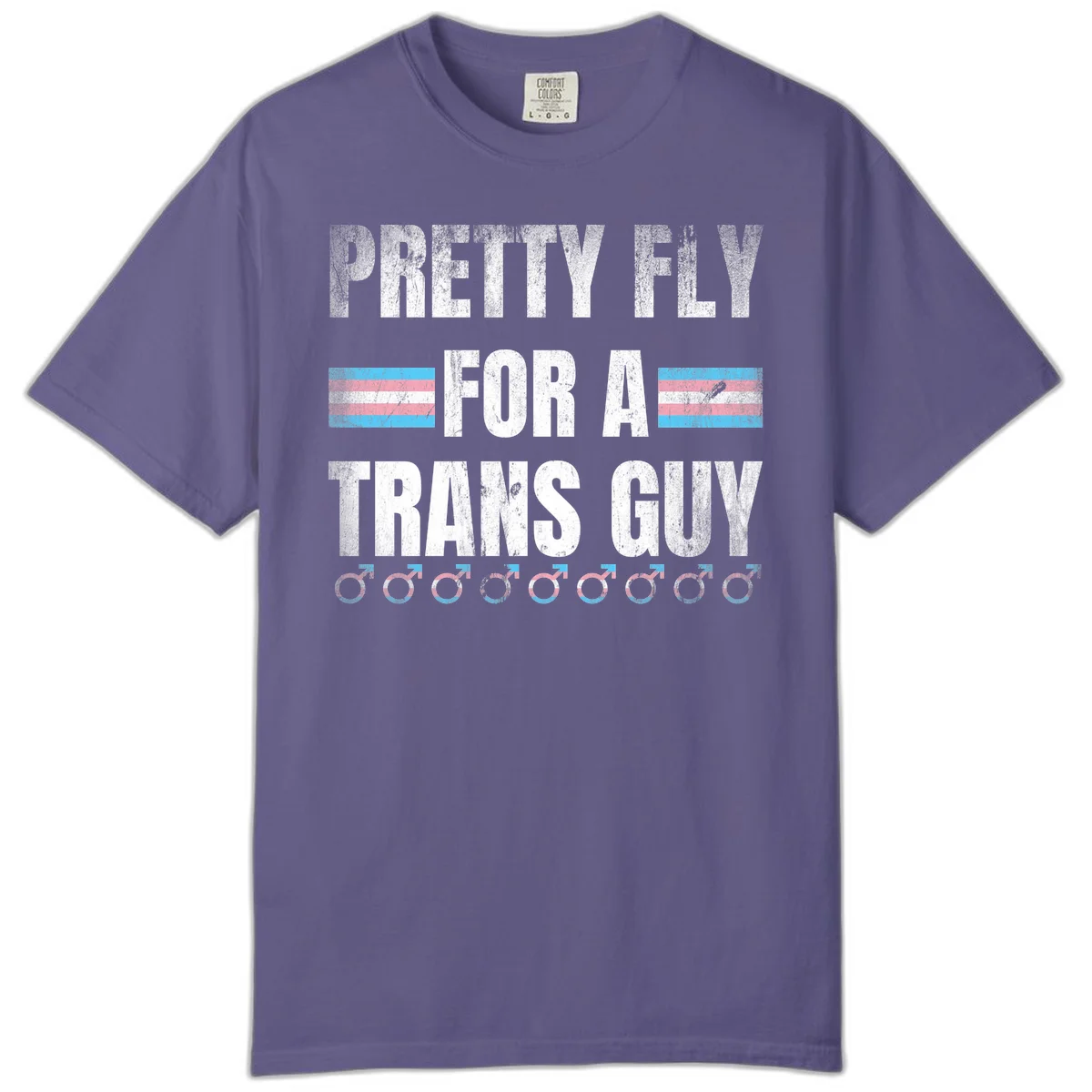 Distressed white text reading 'Pretty Fly For A Trans Guy' with blue and pink transgender pride stripes and male gender symbols in Grape