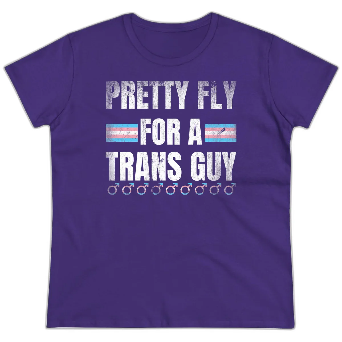 Distressed white text reading 'Pretty Fly For A Trans Guy' with blue and pink transgender pride stripes and male gender symbols in Purple
