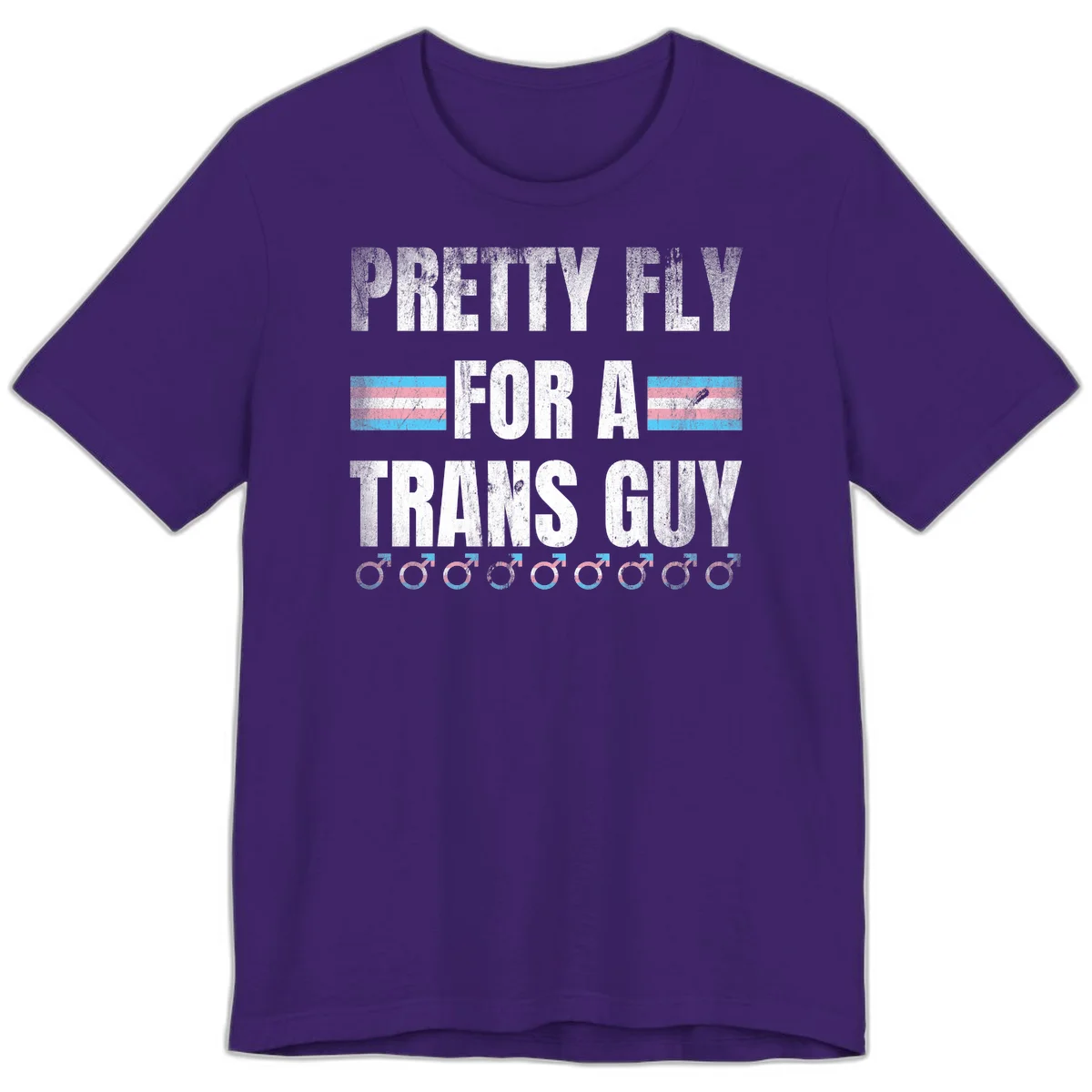 Distressed white text reading 'Pretty Fly For A Trans Guy' with blue and pink transgender pride stripes and male gender symbols in Team Purple