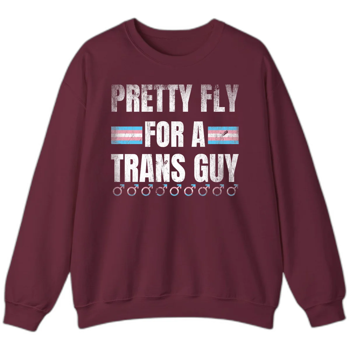 Distressed white text reading 'Pretty Fly For A Trans Guy' with blue and pink transgender pride stripes and male gender symbols in Maroon