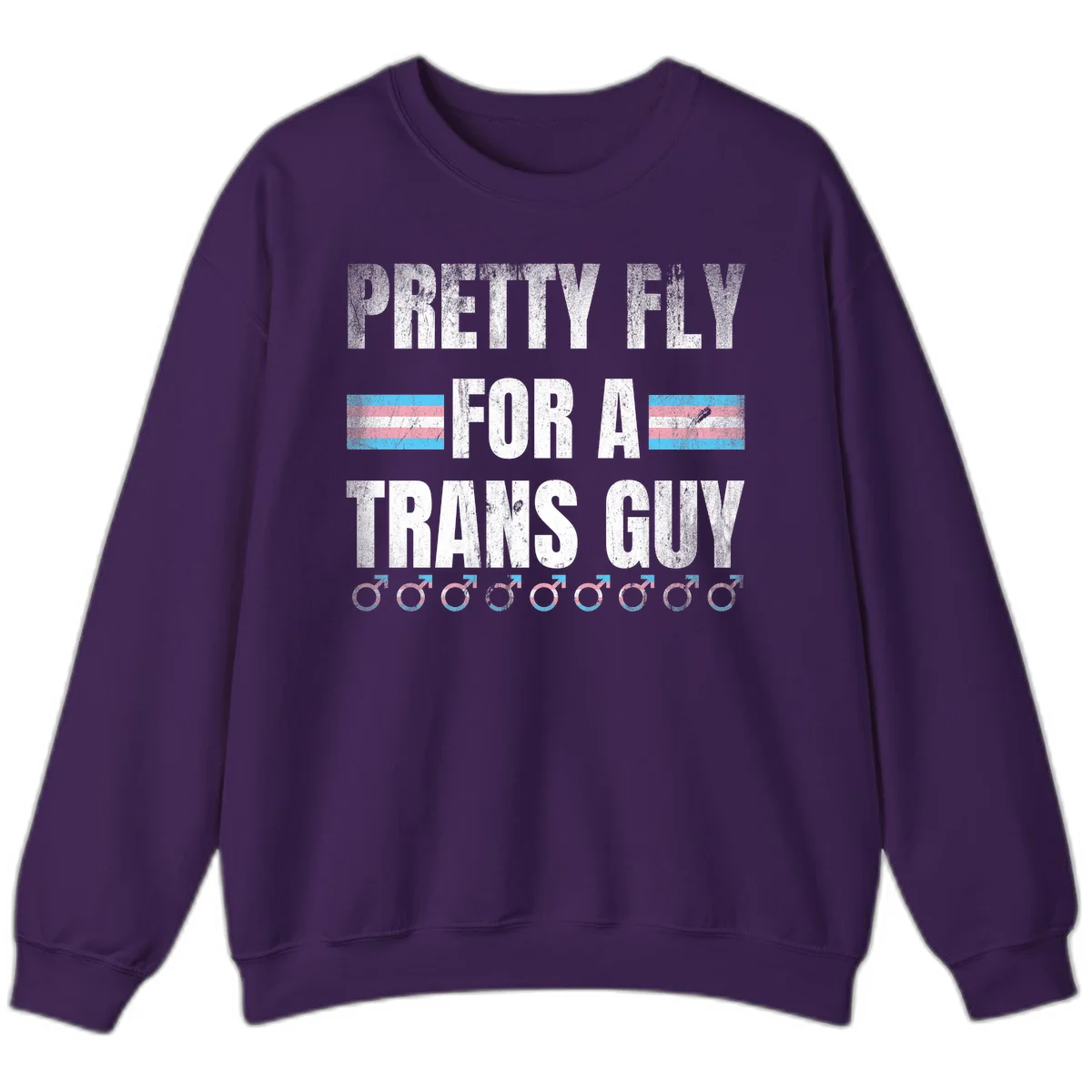 Distressed white text reading 'Pretty Fly For A Trans Guy' with blue and pink transgender pride stripes and male gender symbols in Purple