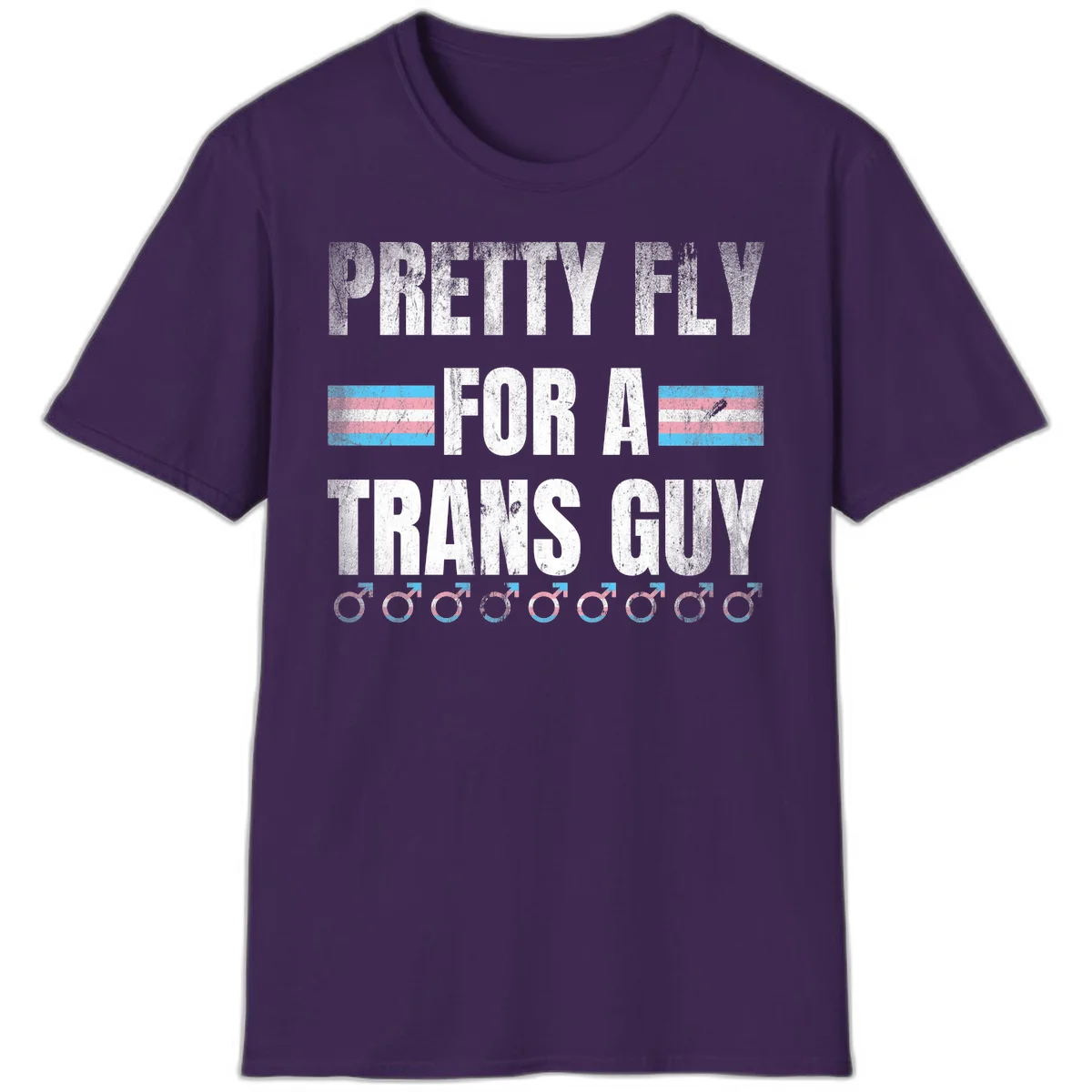 Distressed white text reading 'Pretty Fly For A Trans Guy' with blue and pink transgender pride stripes and male gender symbols in Purple