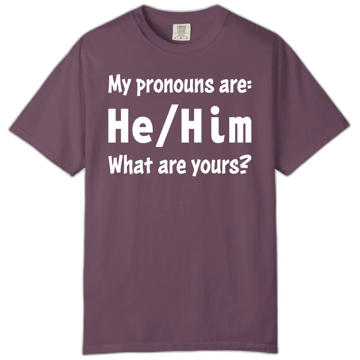 White text on gray background reading 'My pronouns are: He/Him What are yours?' - a he/him pronouns pride design in Berry