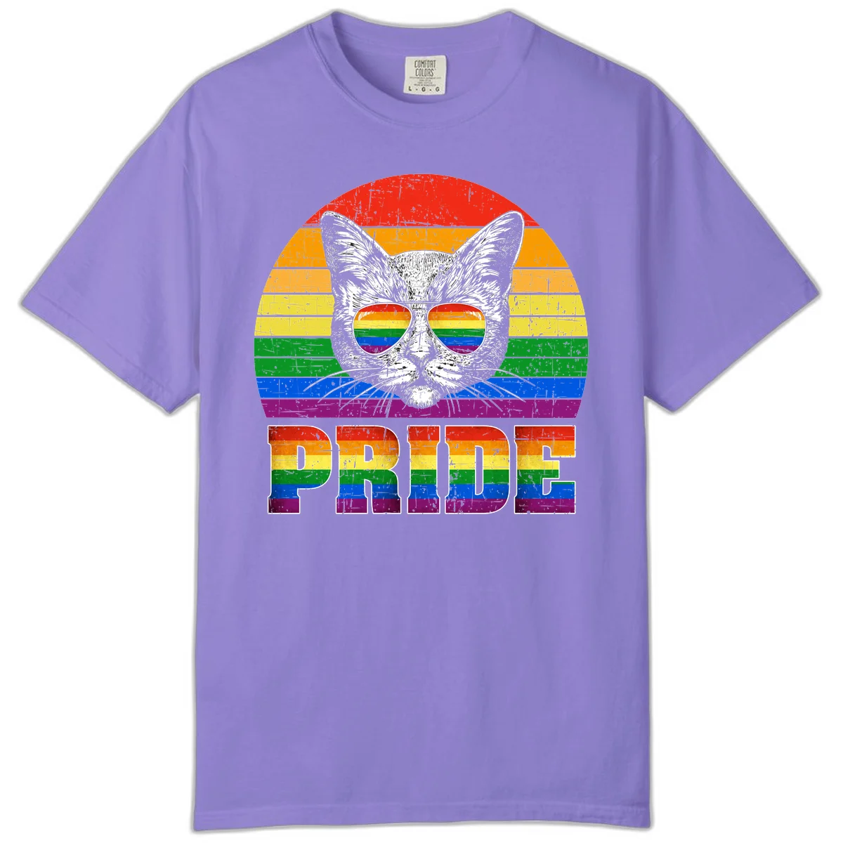 Illustration of a cool cat wearing rainbow-reflective sunglasses with the word PRIDE below, set against a rainbow striped background in Violet