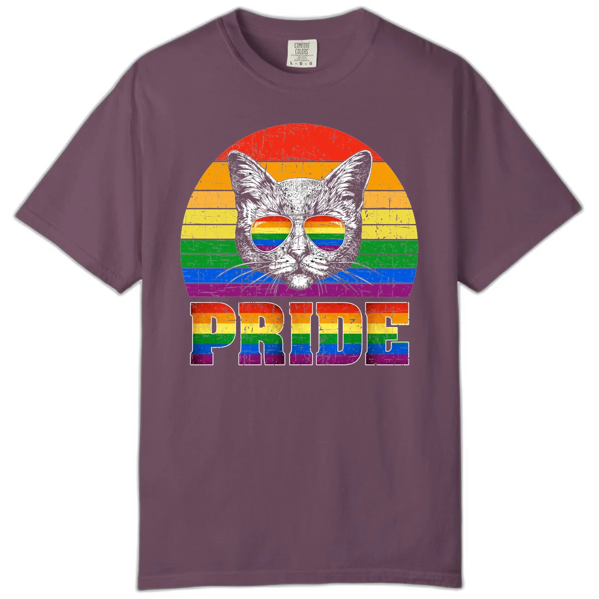 Illustration of a cool cat wearing rainbow-reflective sunglasses with the word PRIDE below, set against a rainbow striped background in Berry