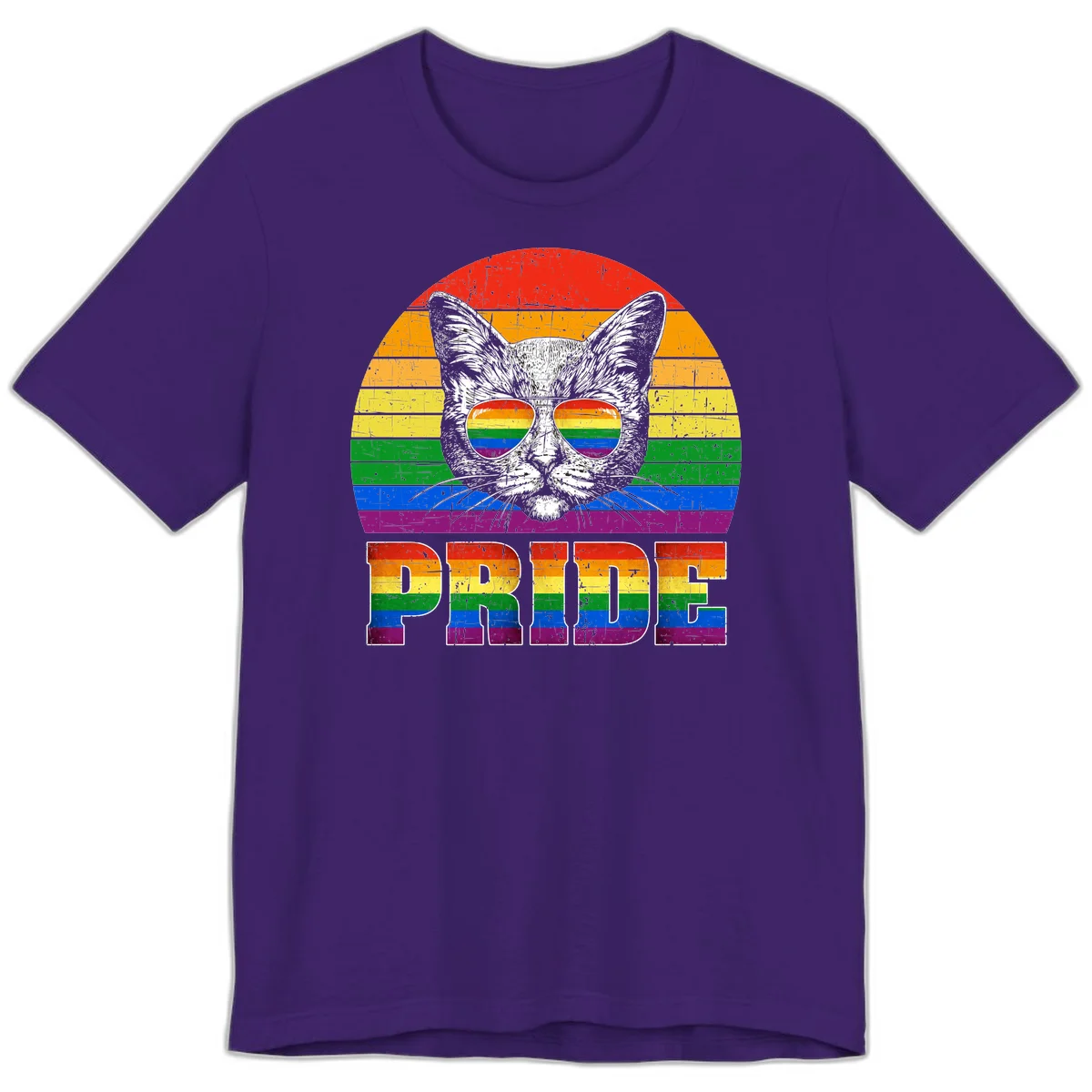 Illustration of a cool cat wearing rainbow-reflective sunglasses with the word PRIDE below, set against a rainbow striped background in Team Purple