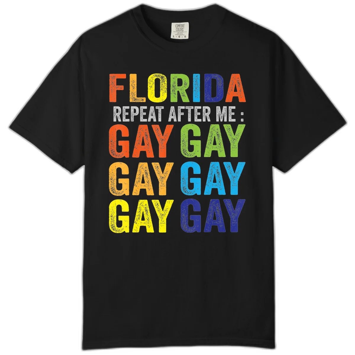 Rainbow colored text reading 'Florida Repeat After Me: Gay Gay Gay Gay' with distressed grunge texture on gray background in Black