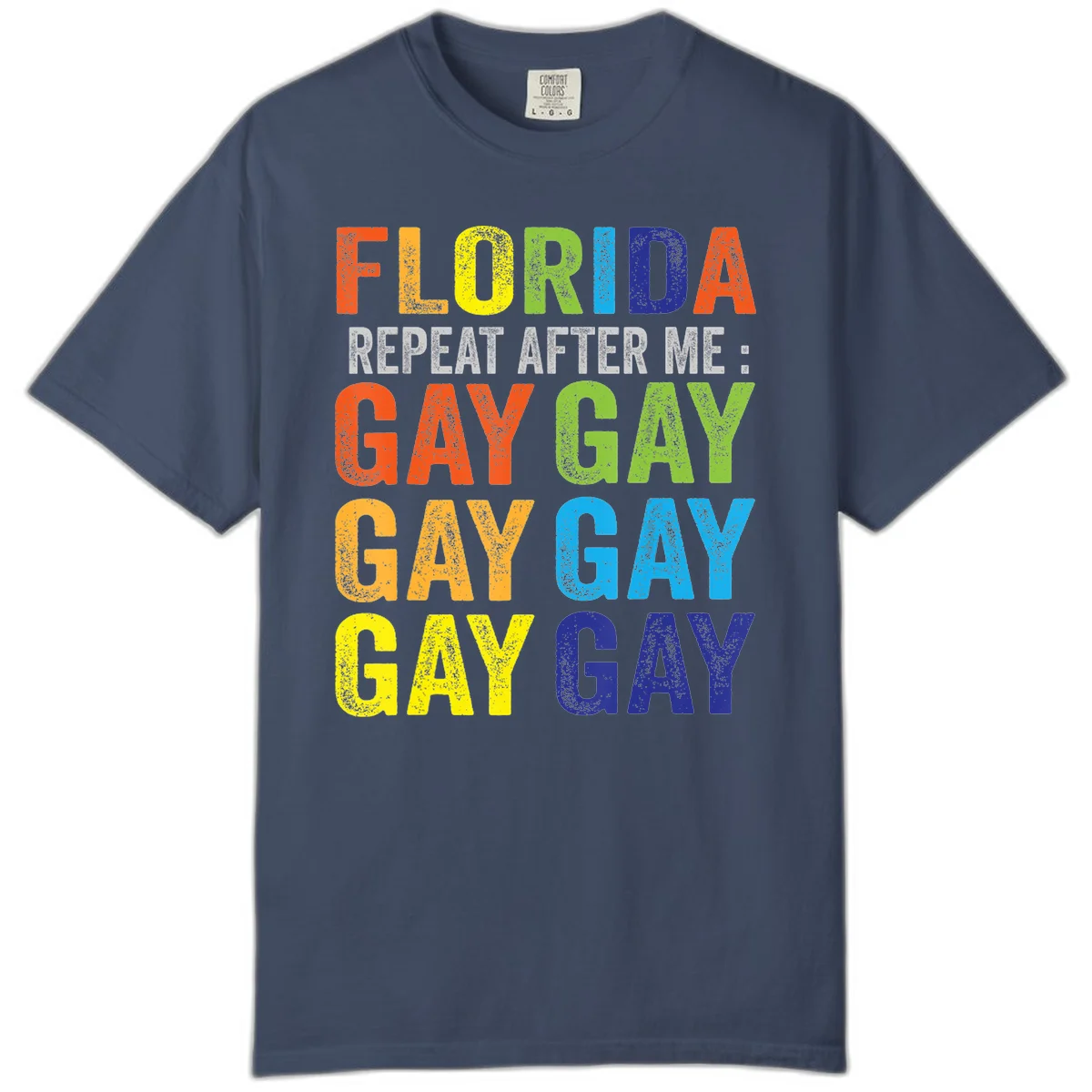 Rainbow colored text reading 'Florida Repeat After Me: Gay Gay Gay Gay' with distressed grunge texture on gray background in Midnight