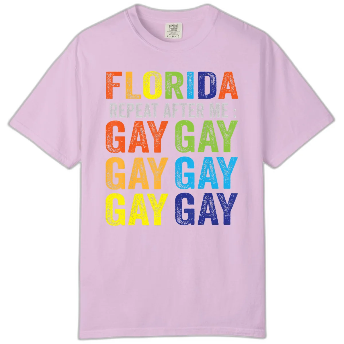 Rainbow colored text reading 'Florida Repeat After Me: Gay Gay Gay Gay' with distressed grunge texture on gray background in Orchid
