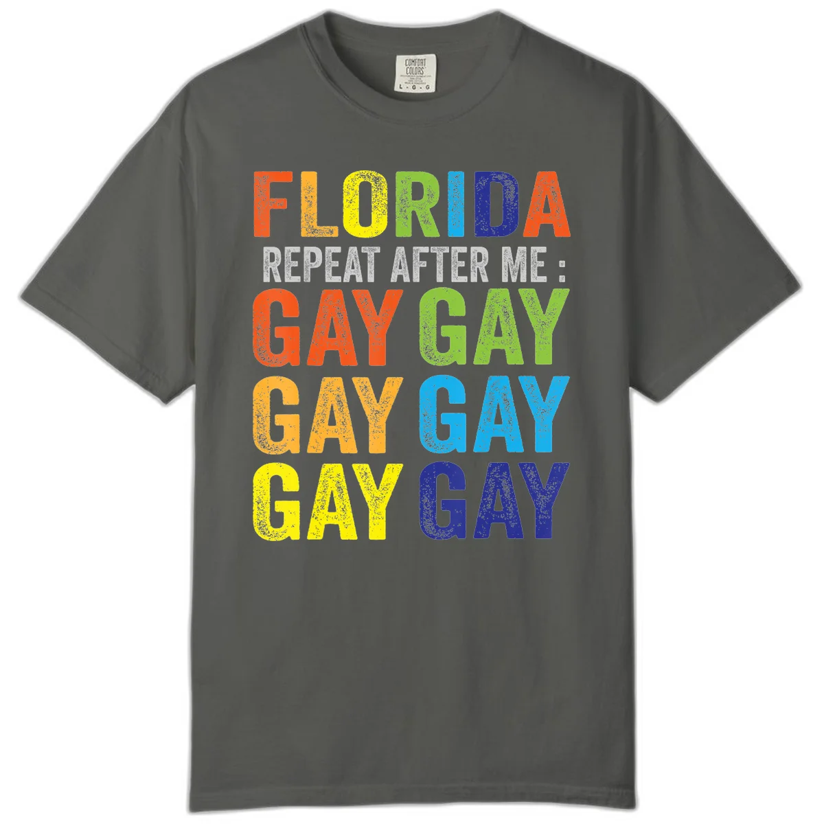 Rainbow colored text reading 'Florida Repeat After Me: Gay Gay Gay Gay' with distressed grunge texture on gray background in Pepper
