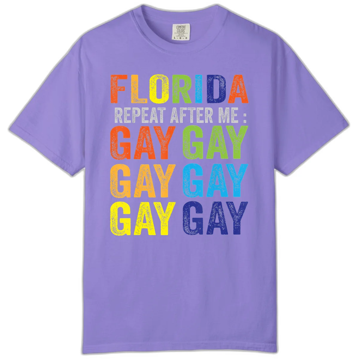 Rainbow colored text reading 'Florida Repeat After Me: Gay Gay Gay Gay' with distressed grunge texture on gray background in Violet