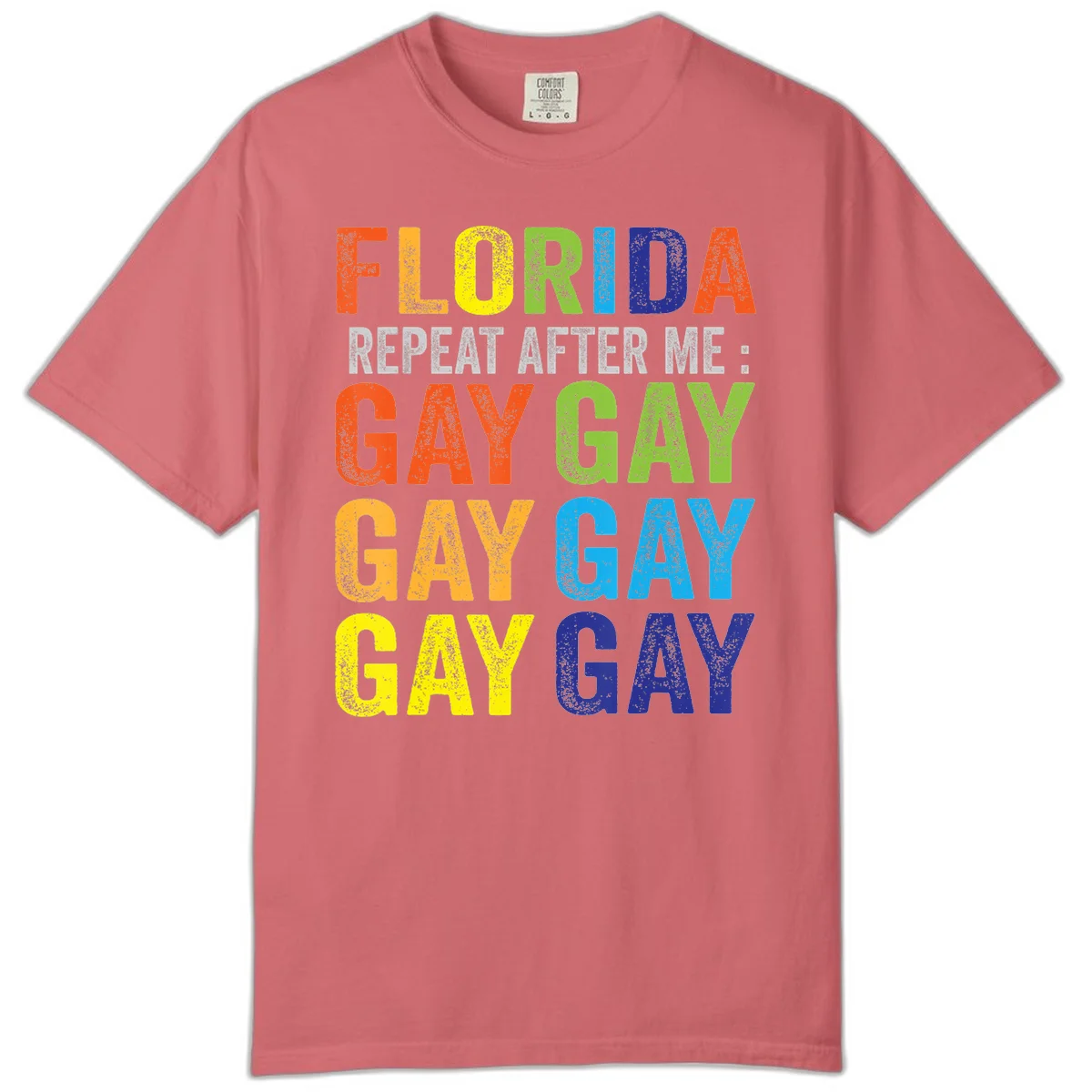 Rainbow colored text reading 'Florida Repeat After Me: Gay Gay Gay Gay' with distressed grunge texture on gray background in Watermelon