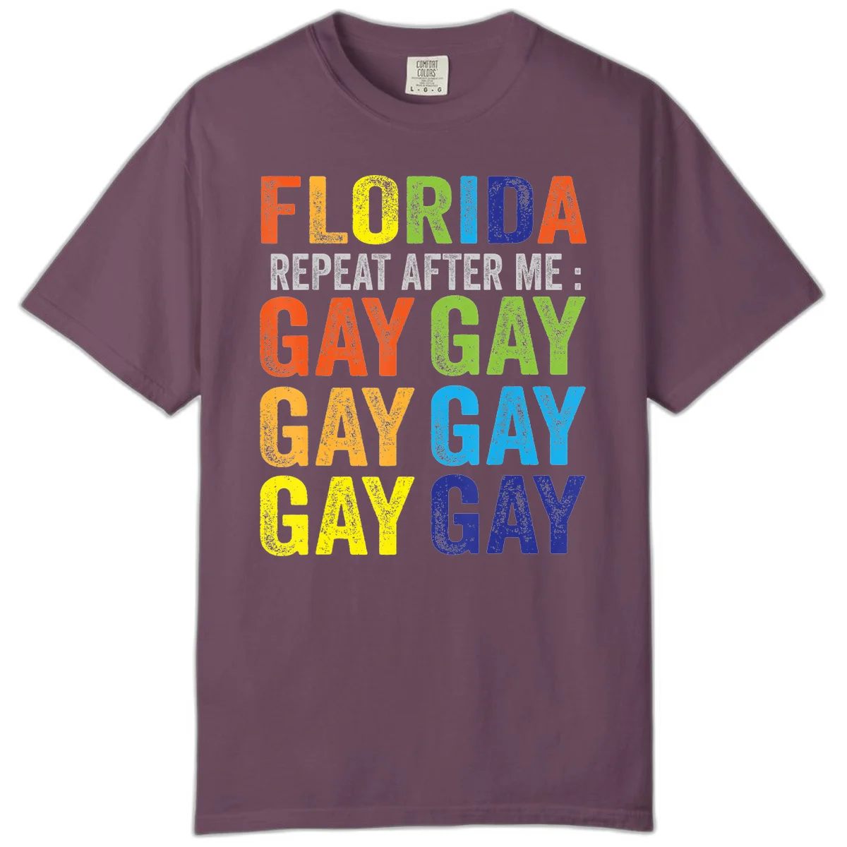 Rainbow colored text reading 'Florida Repeat After Me: Gay Gay Gay Gay' with distressed grunge texture on gray background in Berry