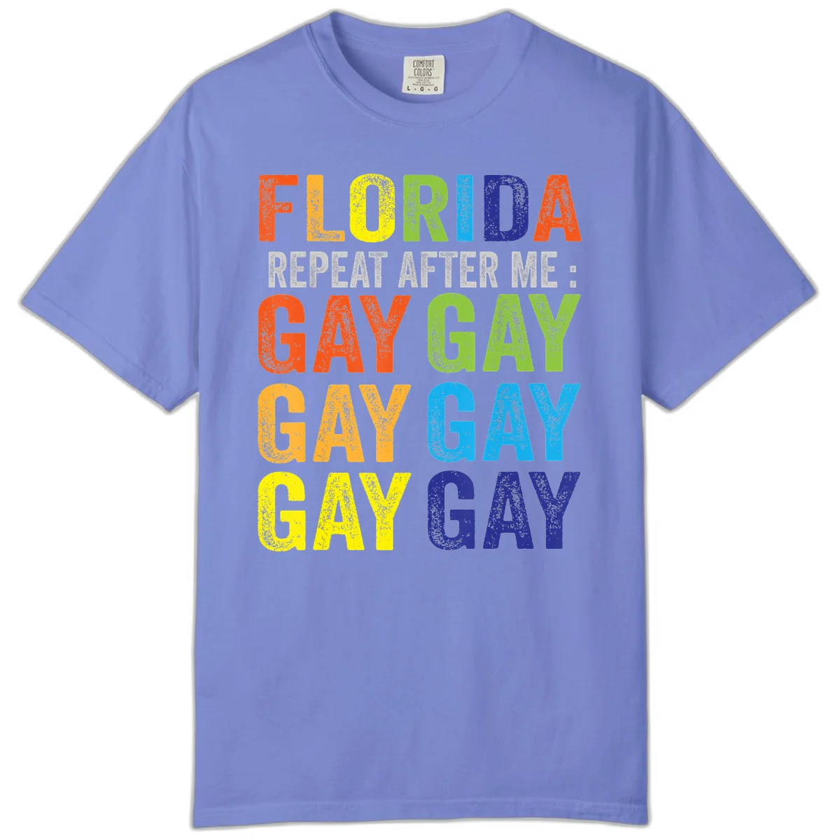 Rainbow colored text reading 'Florida Repeat After Me: Gay Gay Gay Gay' with distressed grunge texture on gray background in Flo Blue