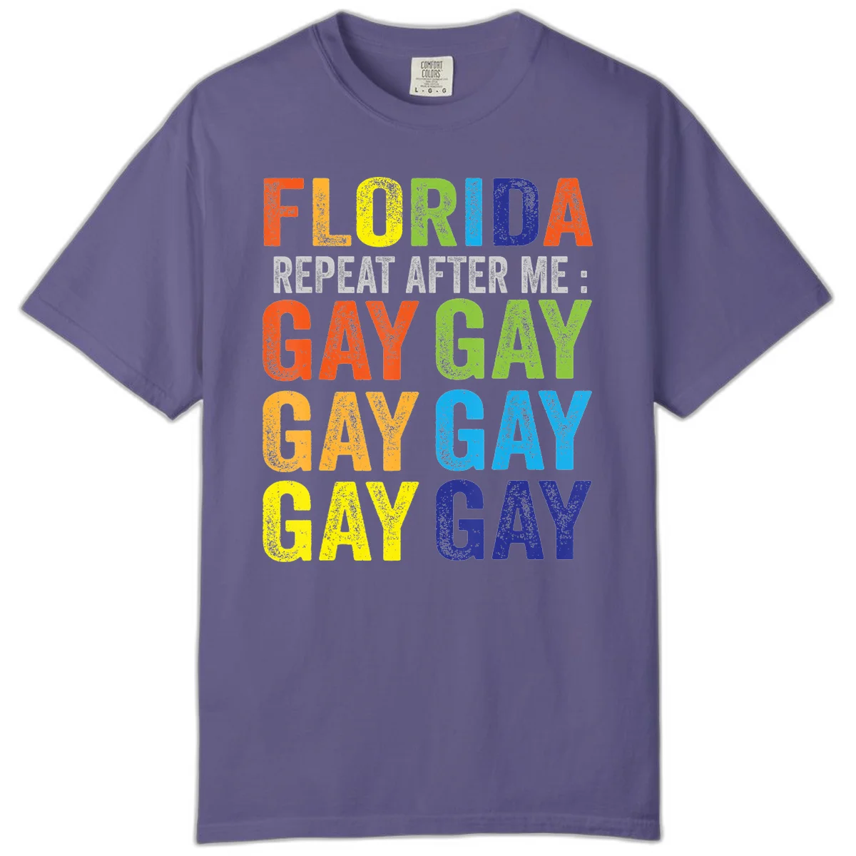 Rainbow colored text reading 'Florida Repeat After Me: Gay Gay Gay Gay' with distressed grunge texture on gray background in Grape