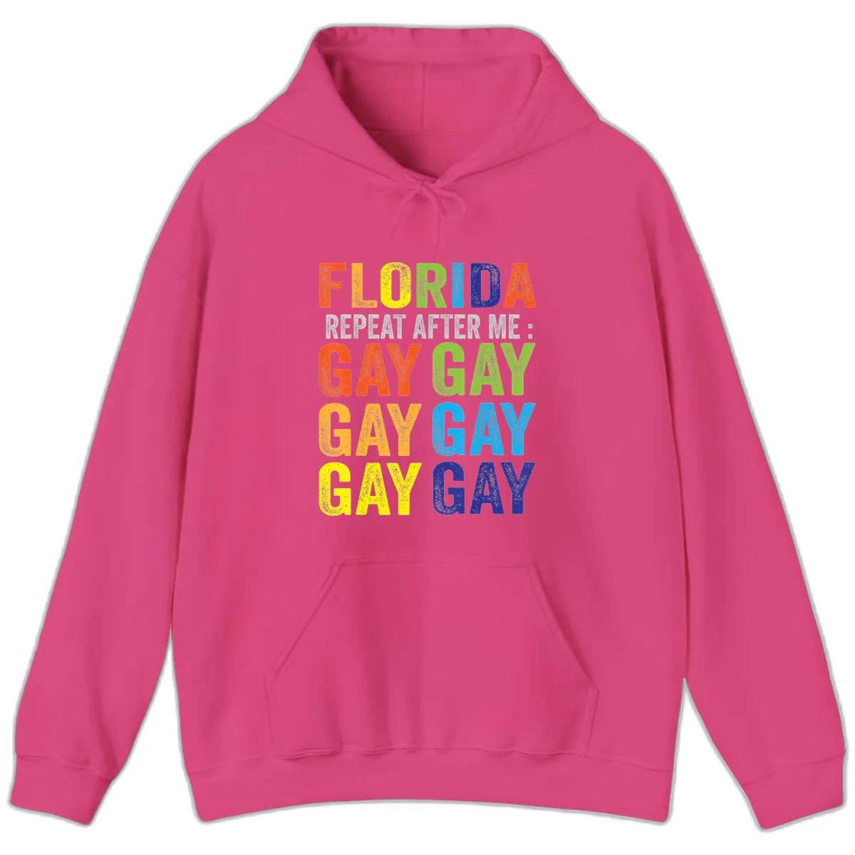 Rainbow colored text reading 'Florida Repeat After Me: Gay Gay Gay Gay' with distressed grunge texture on gray background in Heliconia
