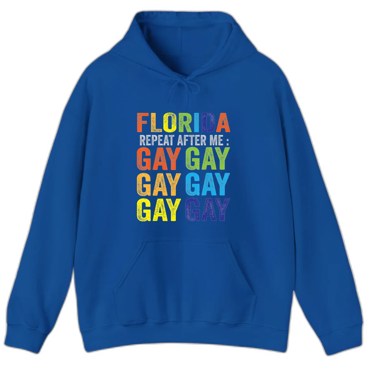 Rainbow colored text reading 'Florida Repeat After Me: Gay Gay Gay Gay' with distressed grunge texture on gray background in Royal