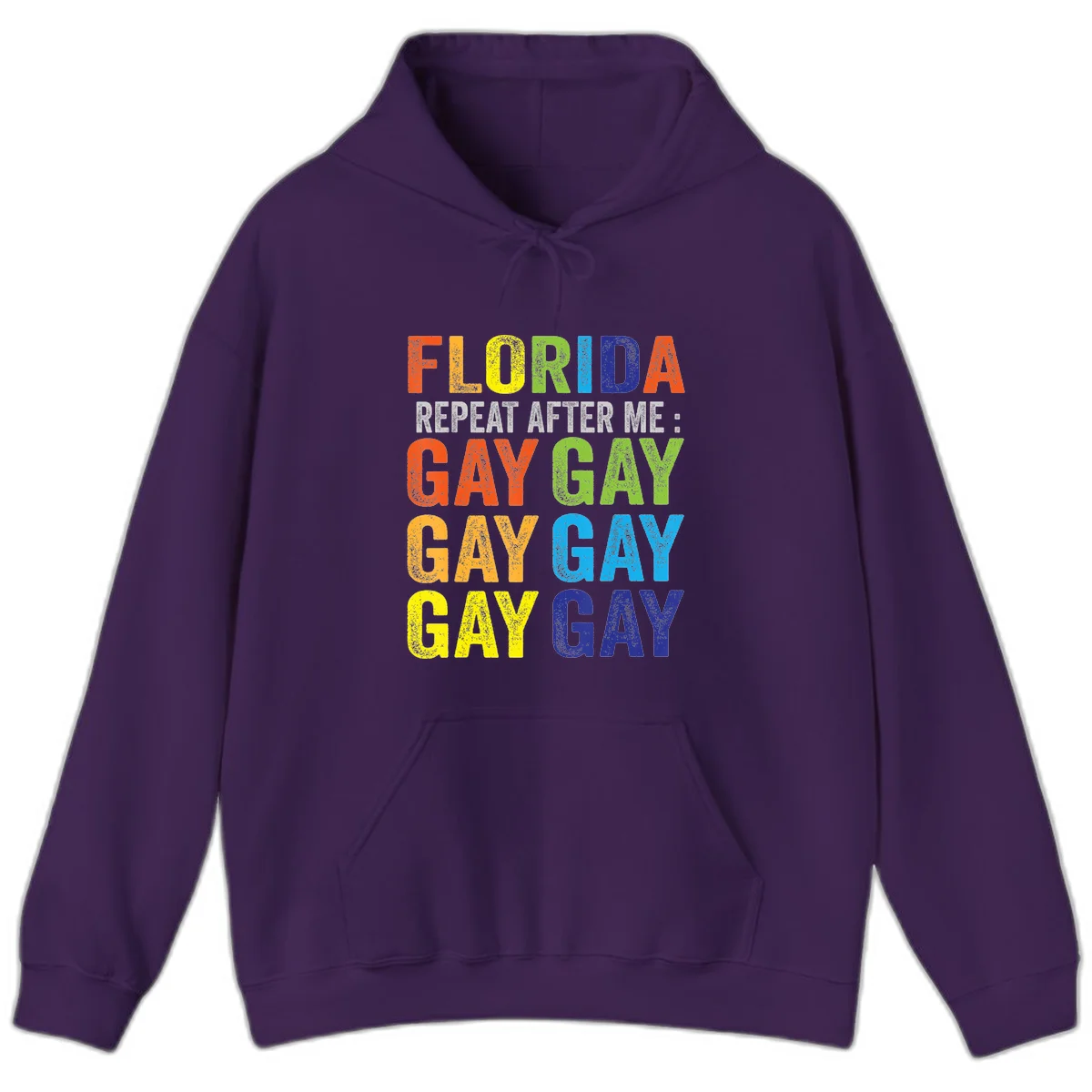 Rainbow colored text reading 'Florida Repeat After Me: Gay Gay Gay Gay' with distressed grunge texture on gray background in Purple