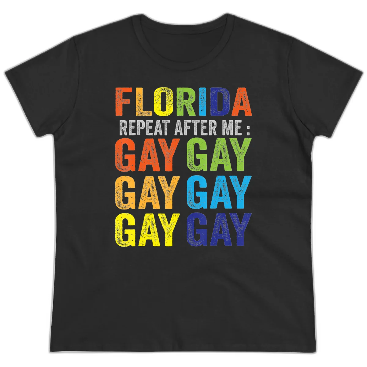 Rainbow colored text reading 'Florida Repeat After Me: Gay Gay Gay Gay' with distressed grunge texture on gray background in Black