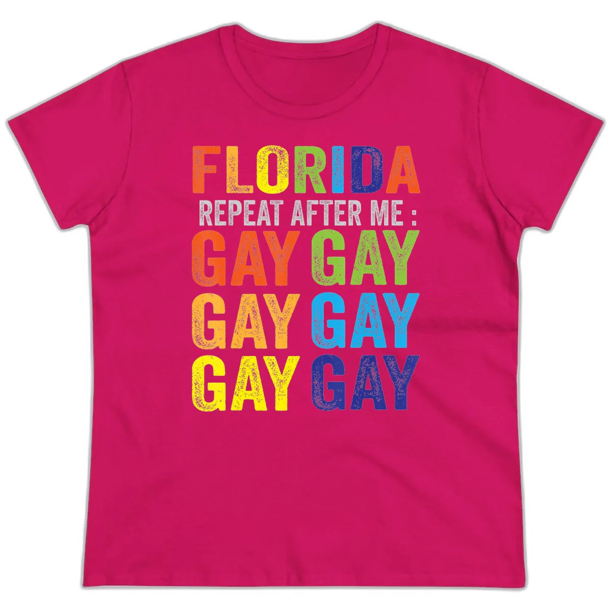 Rainbow colored text reading 'Florida Repeat After Me: Gay Gay Gay Gay' with distressed grunge texture on gray background in Heliconia