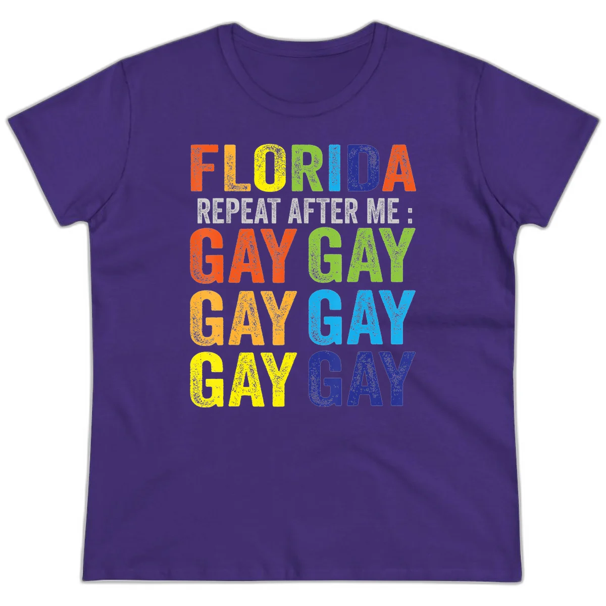 Rainbow colored text reading 'Florida Repeat After Me: Gay Gay Gay Gay' with distressed grunge texture on gray background in Purple