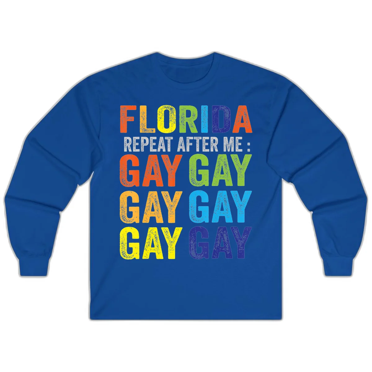 Rainbow colored text reading 'Florida Repeat After Me: Gay Gay Gay Gay' with distressed grunge texture on gray background in Royal