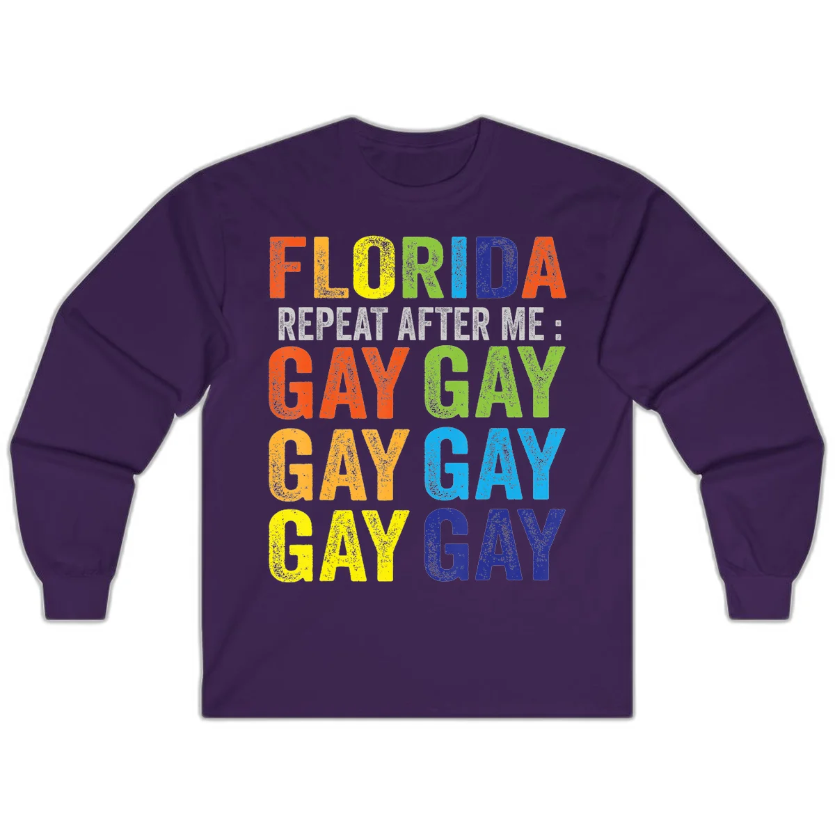 Rainbow colored text reading 'Florida Repeat After Me: Gay Gay Gay Gay' with distressed grunge texture on gray background in Purple