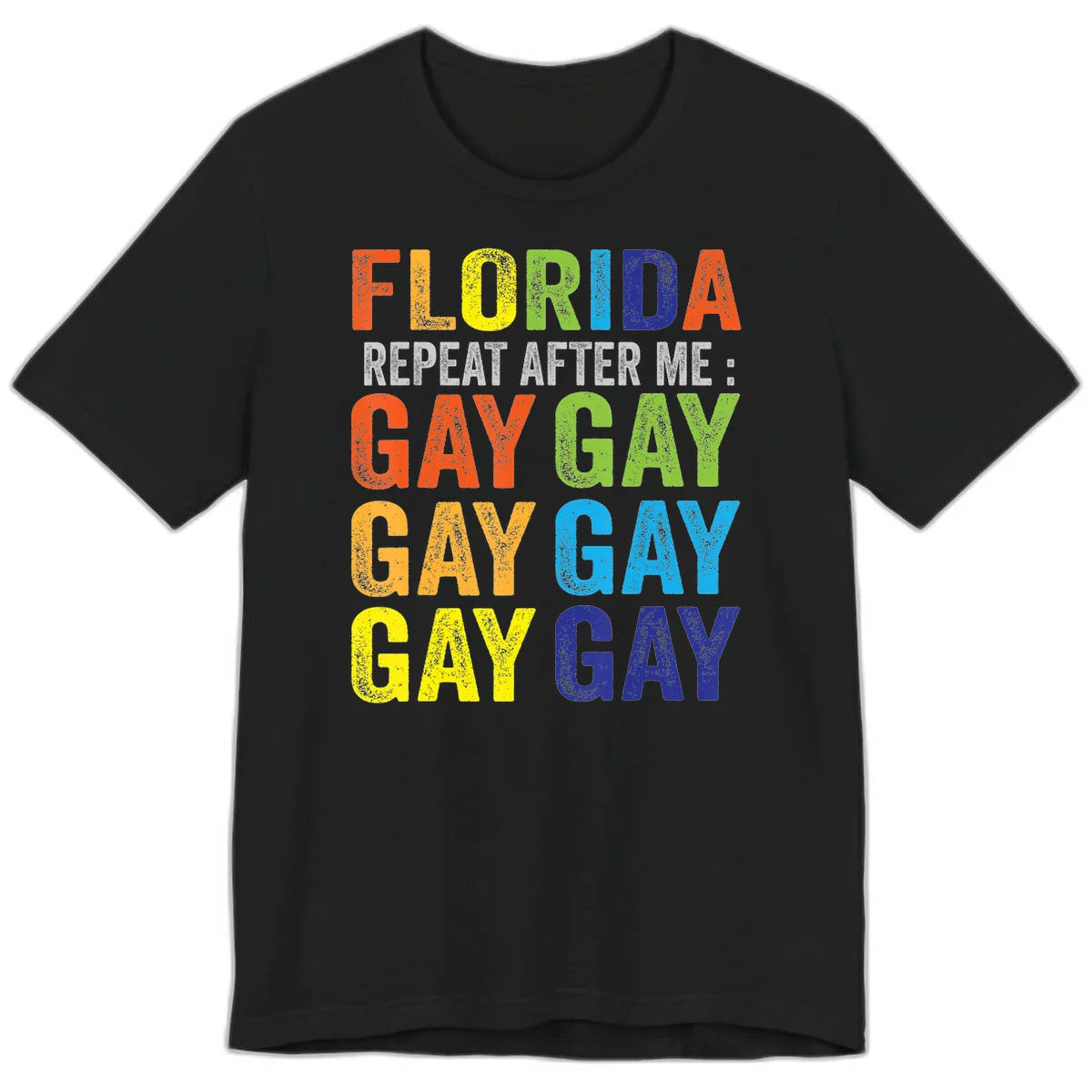 Rainbow colored text reading 'Florida Repeat After Me: Gay Gay Gay Gay' with distressed grunge texture on gray background in Black