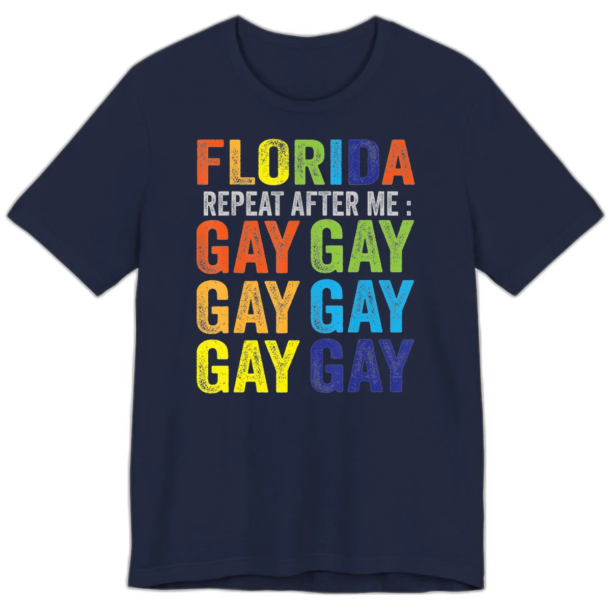 Rainbow colored text reading 'Florida Repeat After Me: Gay Gay Gay Gay' with distressed grunge texture on gray background in Navy