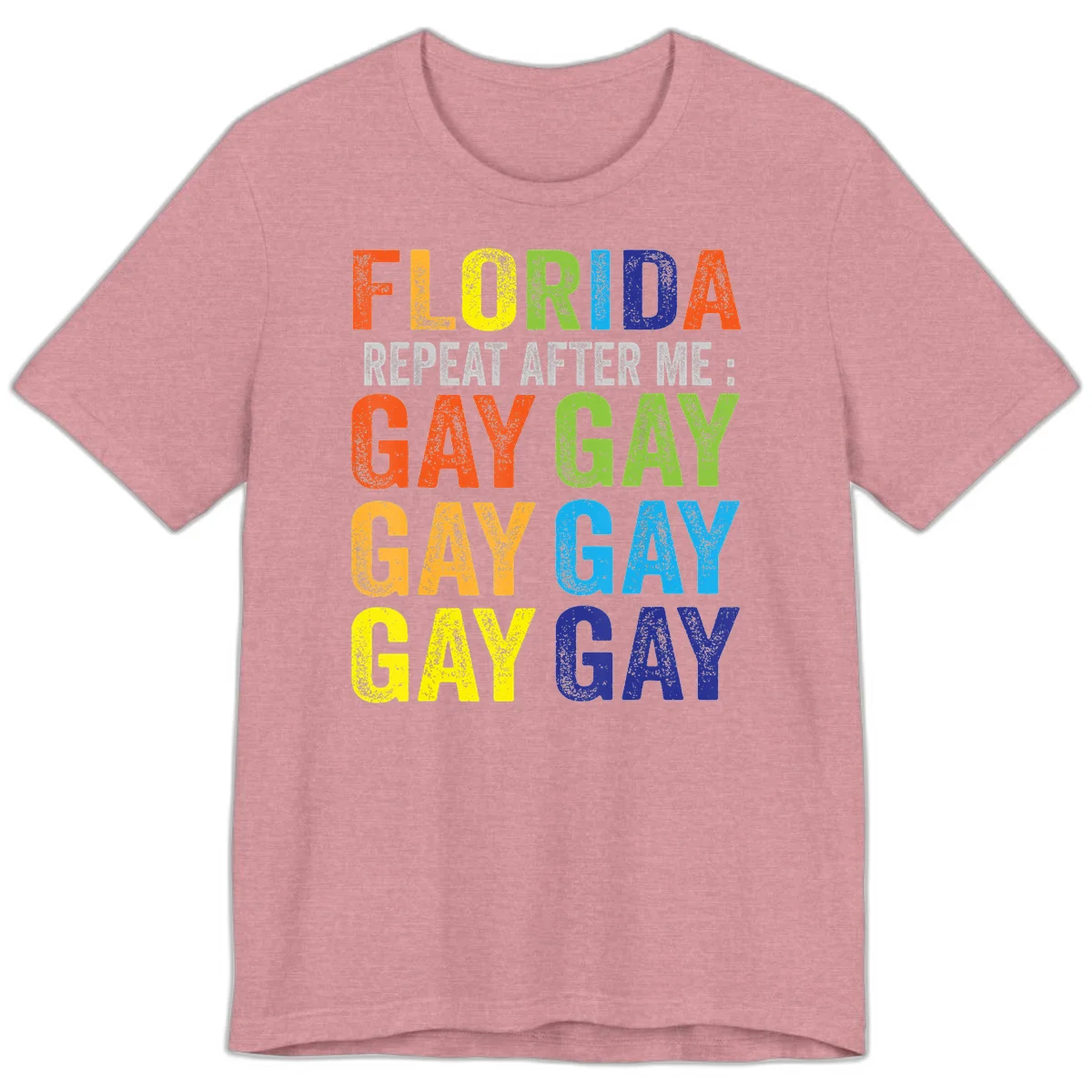 Rainbow colored text reading 'Florida Repeat After Me: Gay Gay Gay Gay' with distressed grunge texture on gray background in Heather Orchid