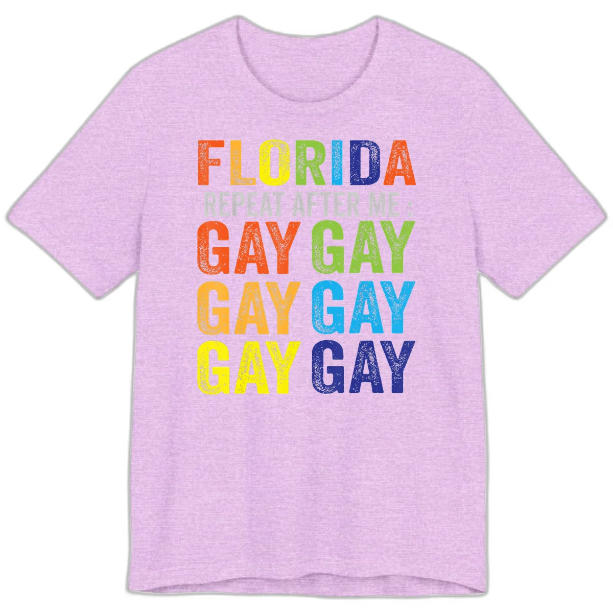 Rainbow colored text reading 'Florida Repeat After Me: Gay Gay Gay Gay' with distressed grunge texture on gray background in Heather Prism Lilac