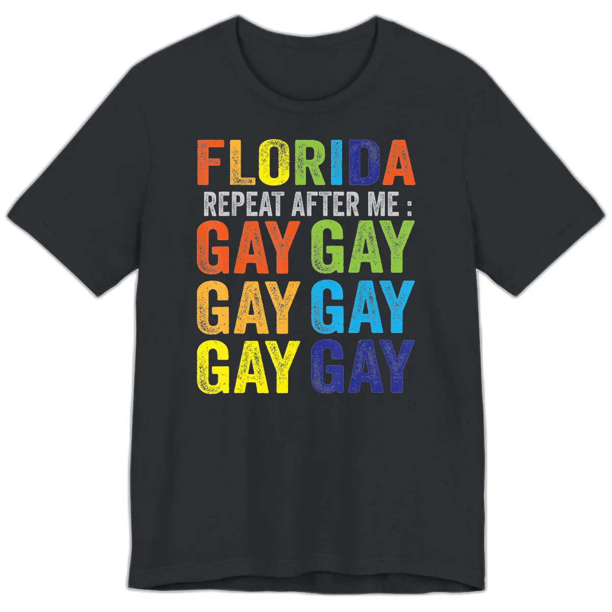 Rainbow colored text reading 'Florida Repeat After Me: Gay Gay Gay Gay' with distressed grunge texture on gray background in Vintage Black