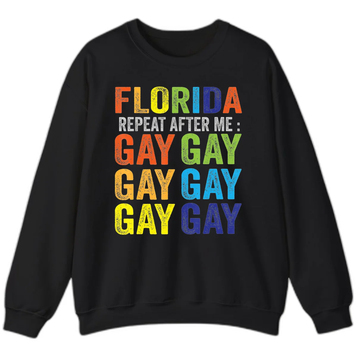 Rainbow colored text reading 'Florida Repeat After Me: Gay Gay Gay Gay' with distressed grunge texture on gray background in Black