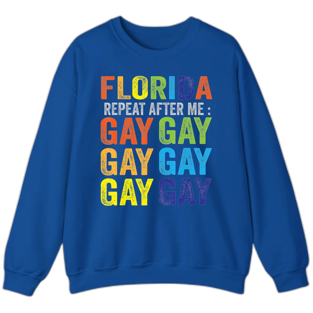 Rainbow colored text reading 'Florida Repeat After Me: Gay Gay Gay Gay' with distressed grunge texture on gray background in Royal