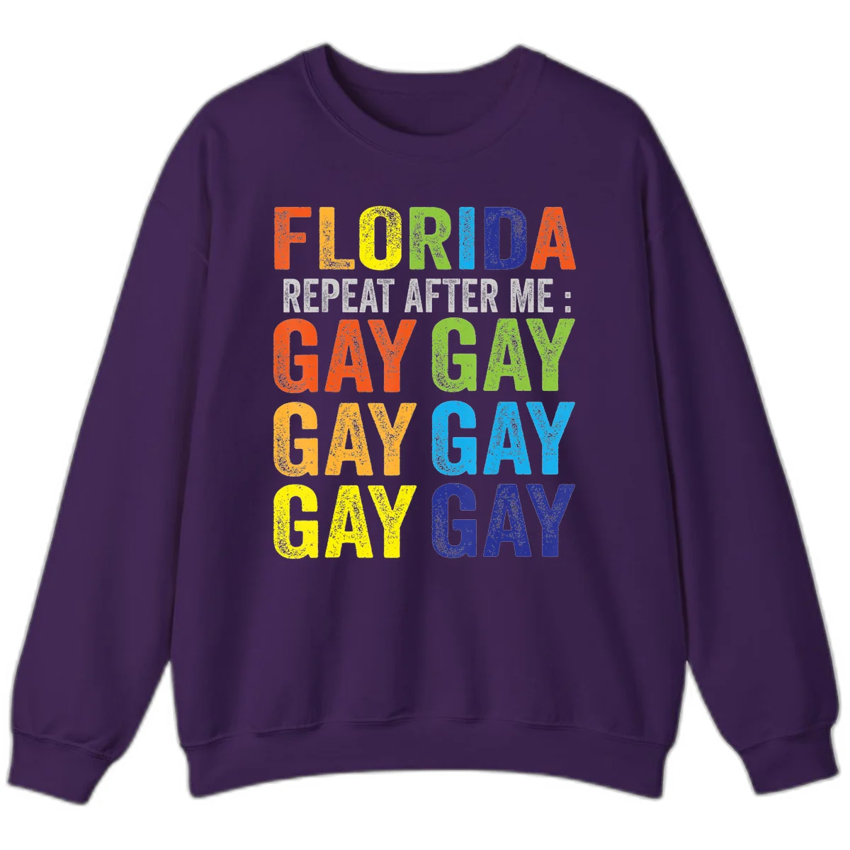 Rainbow colored text reading 'Florida Repeat After Me: Gay Gay Gay Gay' with distressed grunge texture on gray background in Purple