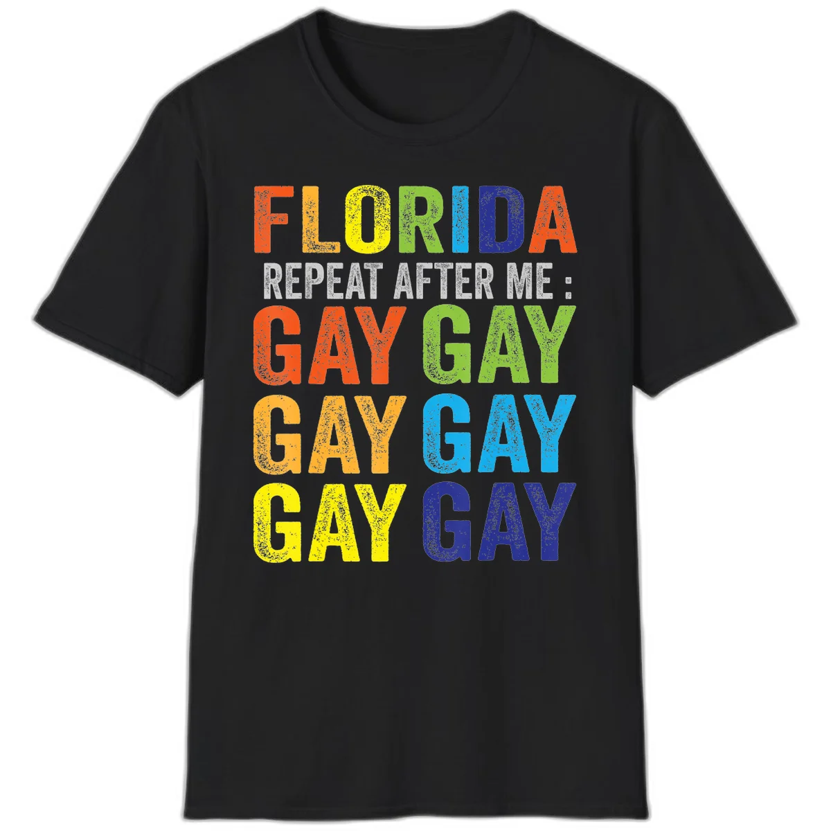 Rainbow colored text reading 'Florida Repeat After Me: Gay Gay Gay Gay' with distressed grunge texture on gray background in Black