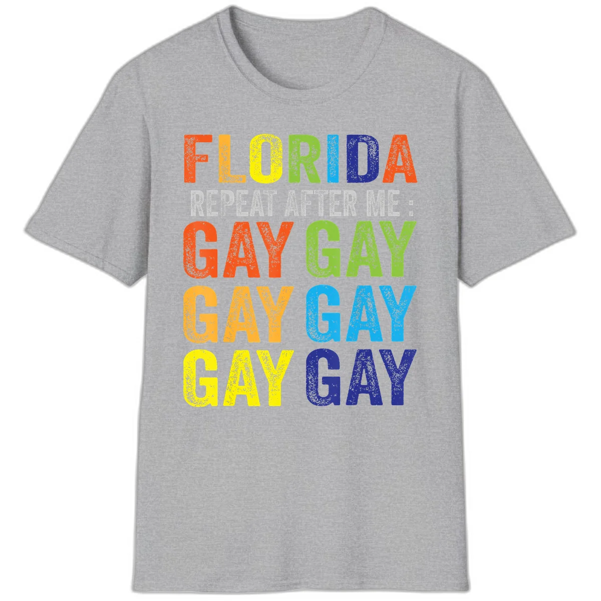 Rainbow colored text reading 'Florida Repeat After Me: Gay Gay Gay Gay' with distressed grunge texture on gray background in Sport Grey