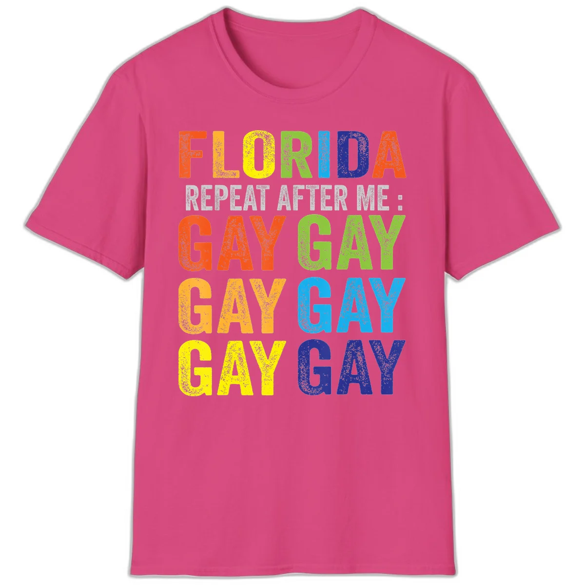 Rainbow colored text reading 'Florida Repeat After Me: Gay Gay Gay Gay' with distressed grunge texture on gray background in Heliconia