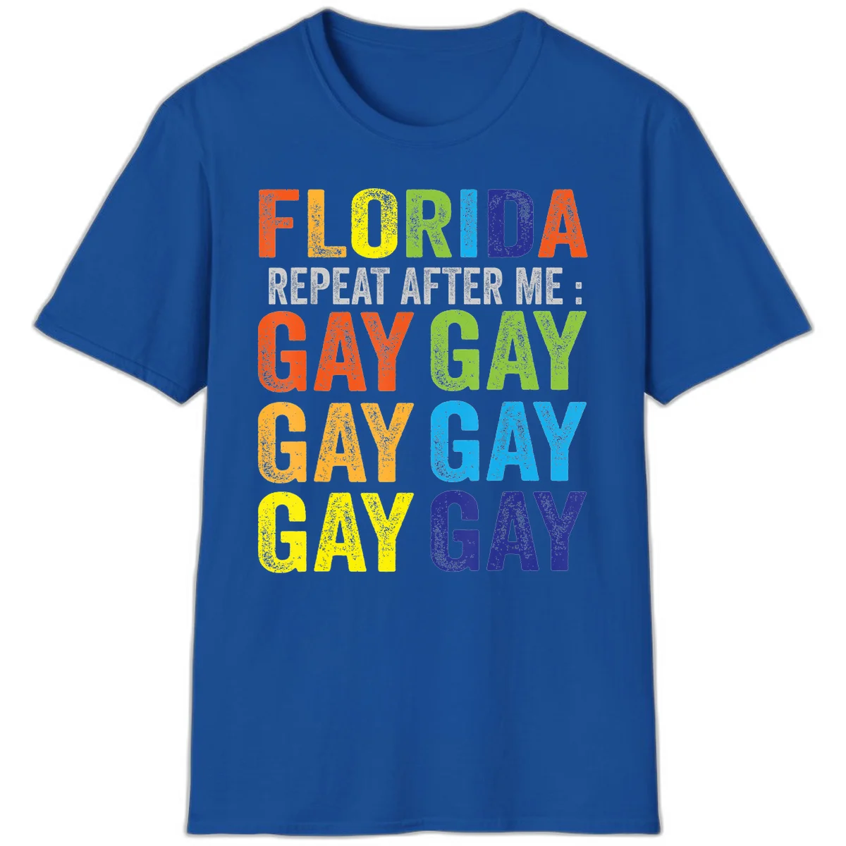 Rainbow colored text reading 'Florida Repeat After Me: Gay Gay Gay Gay' with distressed grunge texture on gray background in Royal
