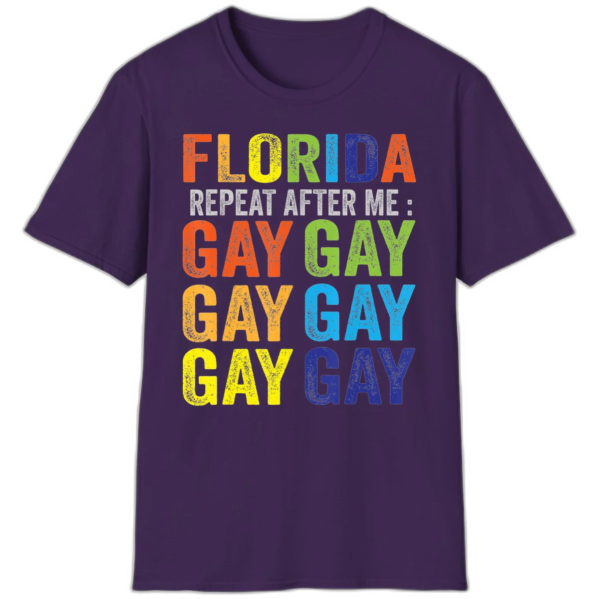 Rainbow colored text reading 'Florida Repeat After Me: Gay Gay Gay Gay' with distressed grunge texture on gray background in Purple