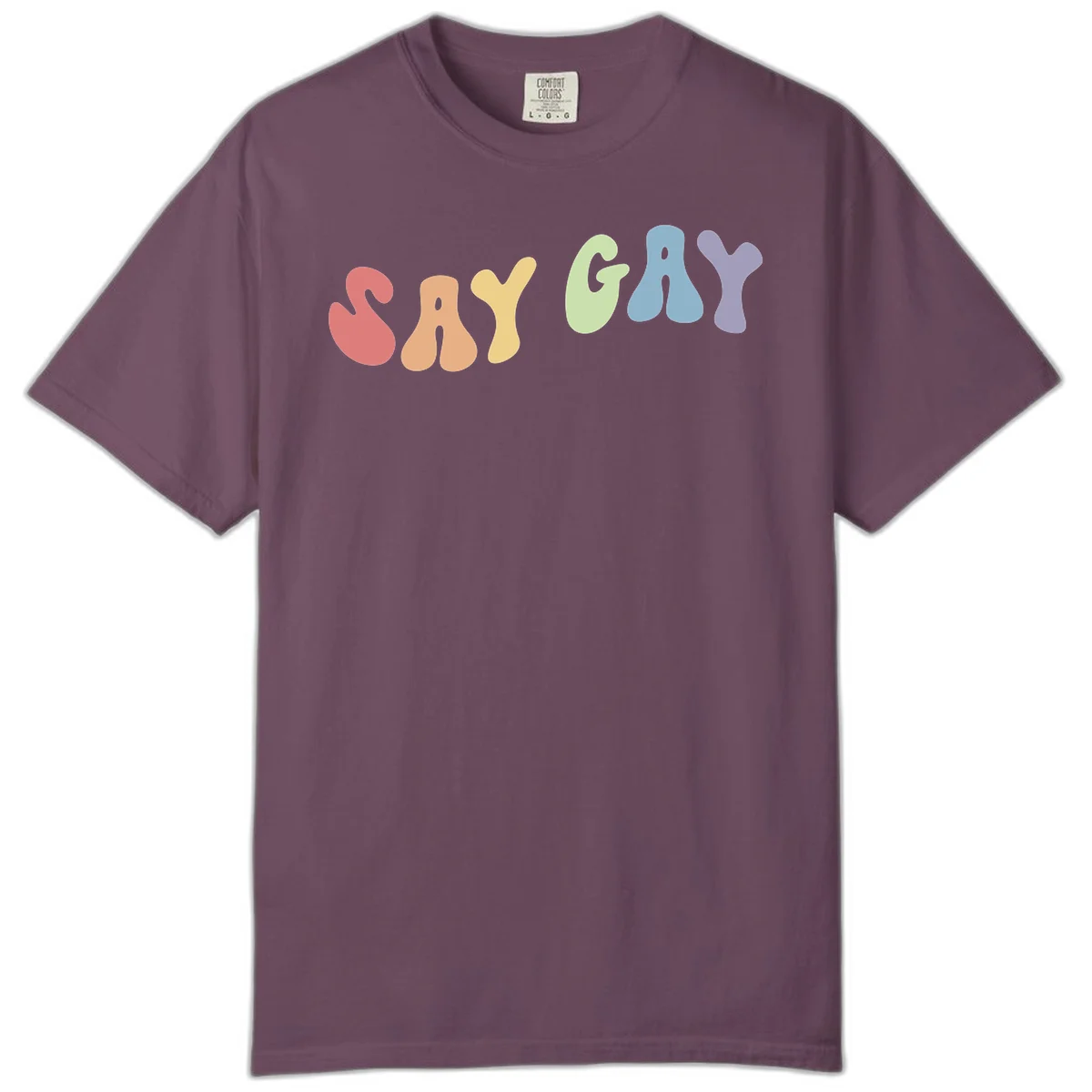 Colorful bubble letters spelling SAY GAY in rainbow pride colors: red, peach, yellow, green, blue, and purple on gray background in Berry